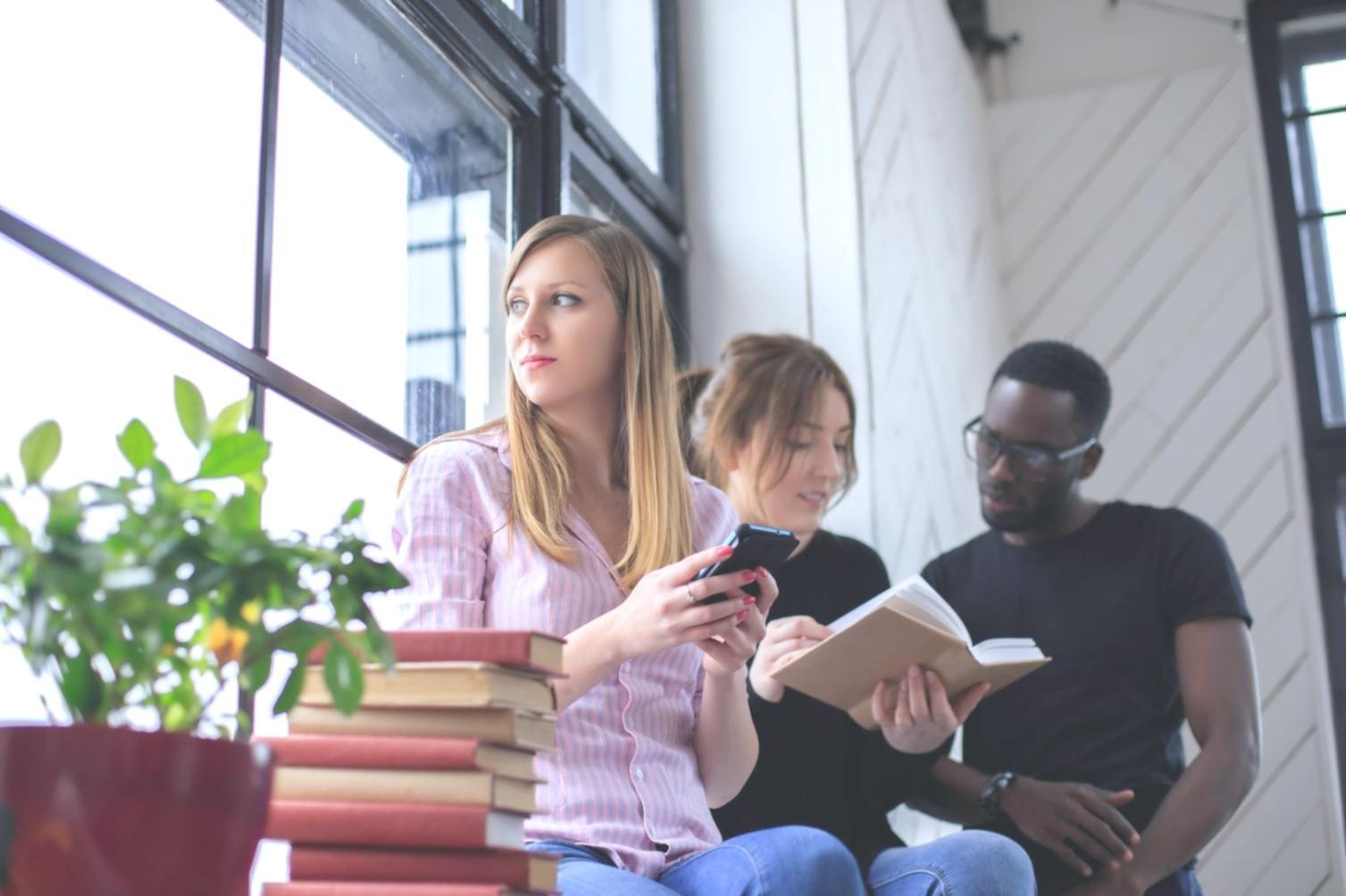 Equipo de Melanivorqa trabajando en estrategias de diversificación empresarial